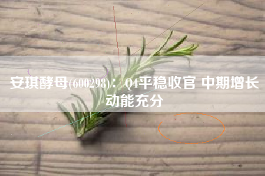 安琪酵母(600298)：Q4平稳收官 中期增长动能充分