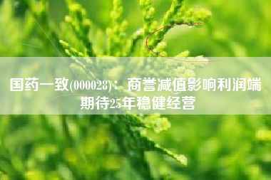 国药一致(000028)：商誉减值影响利润端 期待25年稳健经营