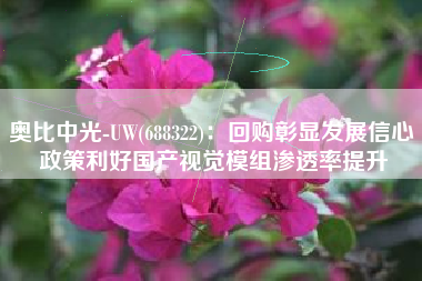奥比中光-UW(688322)：回购彰显发展信心 政策利好国产视觉模组渗透率提升