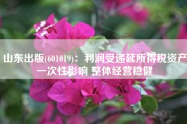 山东出版(601019)：利润受递延所得税资产一次性影响 整体经营稳健