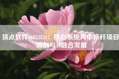 顶点软件(603383)：核心系统再中标杆项目 信创与AI融合发展