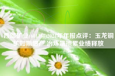 西部矿业(601168)2024年年报点评：玉龙铜矿如期增产 冶炼端拖累业绩释放