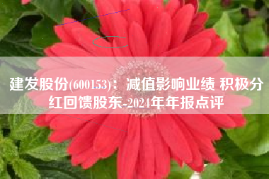 建发股份(600153)：减值影响业绩 积极分红回馈股东-2024年年报点评