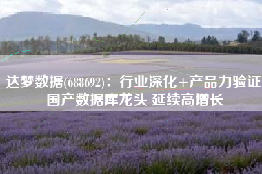 达梦数据(688692)：行业深化+产品力验证 国产数据库龙头 延续高增长