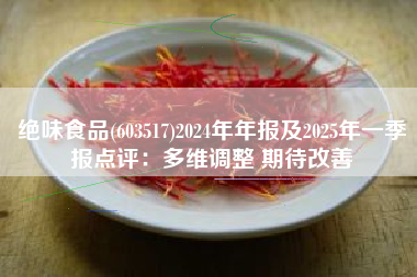 绝味食品(603517)2024年年报及2025年一季报点评：多维调整 期待改善