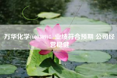 万华化学(600309)：业绩符合预期 公司经营稳健