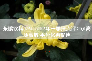 东鹏饮料(605499)2025年一季报点评：Q1高质高增 平台化再提速