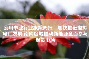 公用事业行业跟踪周报：加快推进虚拟电厂发展 南网区域推动新能源全面参与现货市场