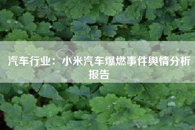 汽车行业：小米汽车爆燃事件舆情分析报告