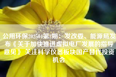 公用环保202504第2期：发改委、能源局发布《关于加快推进虚拟电厂发展的指导意见》 关注科学仪器板块国产替代投资机会