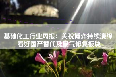 基础化工行业周报：关税博弈持续演绎 看好国产替代及景气修复板块