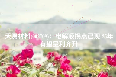天赐材料(002709)：电解液拐点已现 25年有望量利齐升