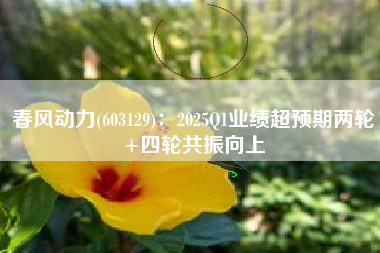 春风动力(603129)：2025Q1业绩超预期两轮+四轮共振向上