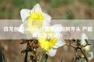 百龙创园(605016)：健康添加剂龙头 产能释放加速成长