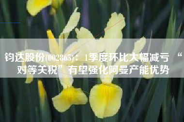 钧达股份(002865)：1季度环比大幅减亏 “对等关税”有望强化阿曼产能优势