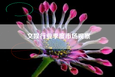 文娱行业季度市场观察
