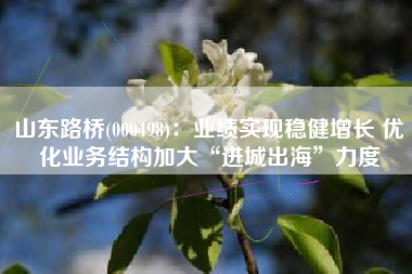 山东路桥(000498)：业绩实现稳健增长 优化业务结构加大“进城出海”力度