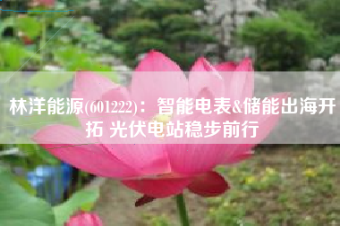 林洋能源(601222)：智能电表&储能出海开拓 光伏电站稳步前行