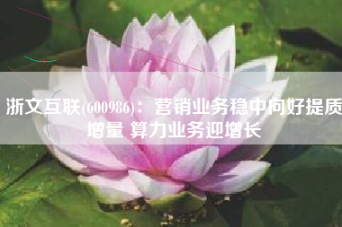 浙文互联(600986)：营销业务稳中向好提质增量 算力业务迎增长