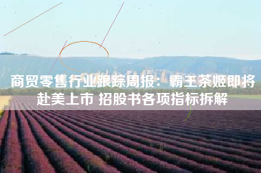 商贸零售行业跟踪周报：霸王茶姬即将赴美上市 招股书各项指标拆解
