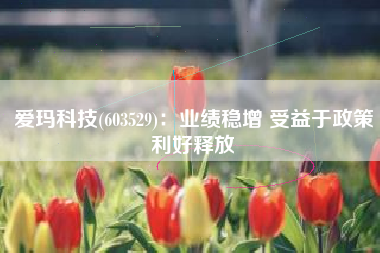 爱玛科技(603529)：业绩稳增 受益于政策利好释放