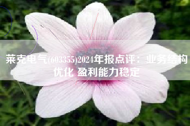 莱克电气(603355)2024年报点评：业务结构优化 盈利能力稳定