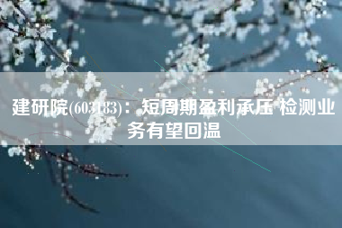 建研院(603183)：短周期盈利承压 检测业务有望回温