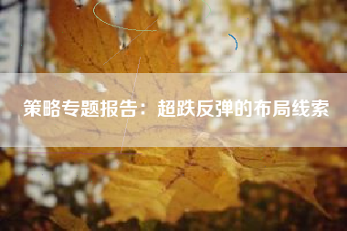 策略专题报告：超跌反弹的布局线索