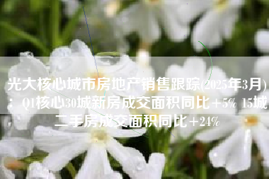 光大核心城市房地产销售跟踪(2025年3月)：Q1核心30城新房成交面积同比+5% 15城二手房成交面积同比+24%