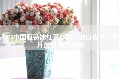 2025中国瓶装冰红茶饮料行业白皮书:岁月沉淀 历久弥新 2025中国瓶装冰红茶饮料行业白皮书:岁月沉淀 历久弥新