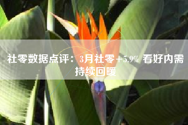 社零数据点评：3月社零+5.9% 看好内需持续回暖