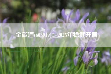 金徽酒(603919)：2025年稳健开局