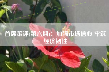 首席策评(第六期)：加强市场信心 牢筑经济韧性