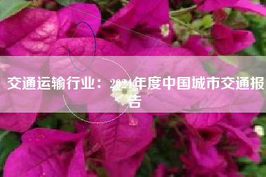 交通运输行业：2024年度中国城市交通报告