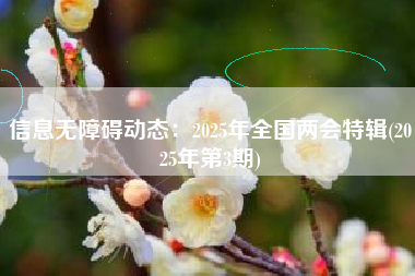 信息无障碍动态：2025年全国两会特辑(2025年第3期)
