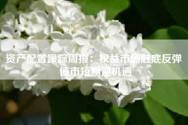 资产配置跟踪周报：权益市场触底反弹 债市短期迎机遇