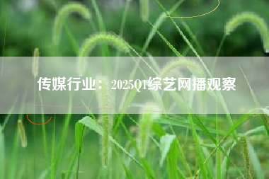 传媒行业：2025Q1综艺网播观察