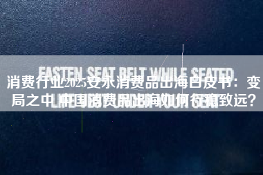 消费行业2025安永消费品出海白皮书：变局之中 中国消费品出海如何行稳致远？