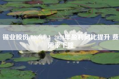 锡业股份(000960)：2024年盈利同比提升 费用率下降