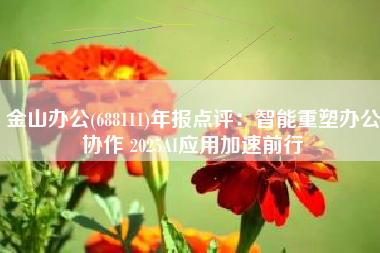 金山办公(688111)年报点评：智能重塑办公协作 2025AI应用加速前行