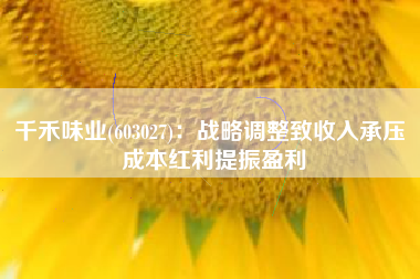 千禾味业(603027)：战略调整致收入承压 成本红利提振盈利
