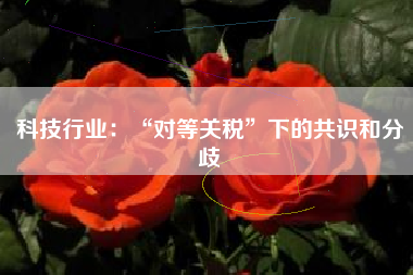 科技行业：“对等关税”下的共识和分歧