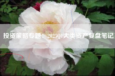 投资策略专题：2025Q1大类资产复盘笔记