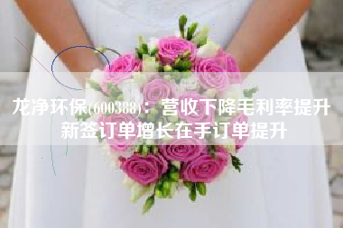 龙净环保(600388)：营收下降毛利率提升 新签订单增长在手订单提升