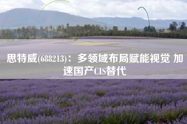 思特威(688213)：多领域布局赋能视觉 加速国产CIS替代