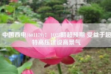 中国西电(601179)：1Q25略超预期 受益于超特高压建设高景气
