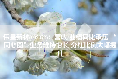 伟星新材(002372)：营收/业绩同比承压 “同心圆”业务维持增长 分红比例大幅提升