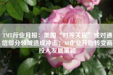 TMT行业月报：美国“对等关税”或对通信部分领域造成冲击；AI企业开始转变高投入发展策略