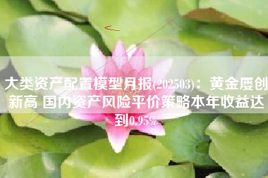 大类资产配置模型月报(202503)：黄金屡创新高 国内资产风险平价策略本年收益达到0.95%