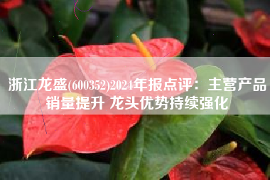 浙江龙盛(600352)2024年报点评：主营产品销量提升 龙头优势持续强化
